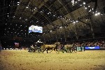 Extreme - 00801